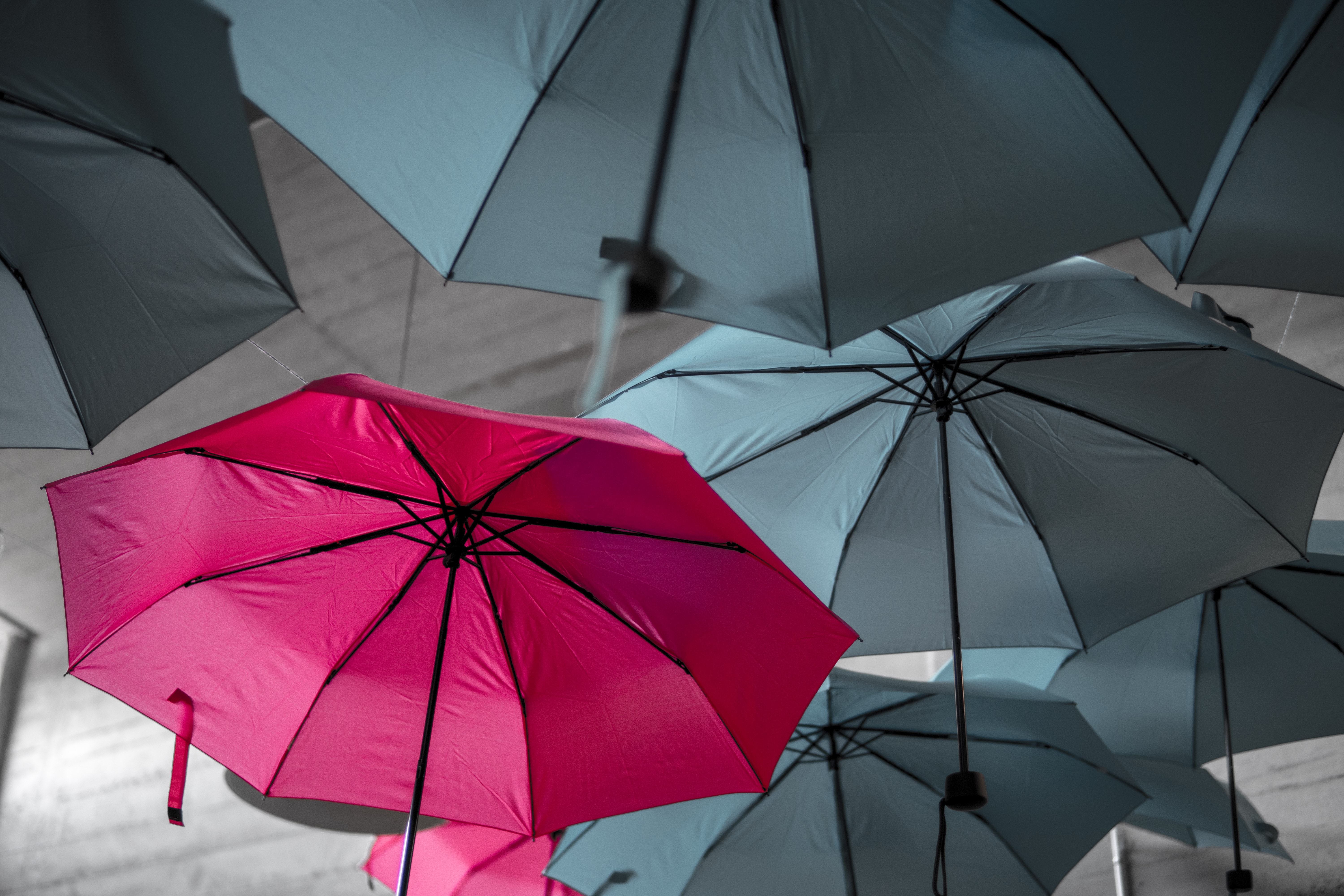 Image of a red umbrella amongst a sea of grey ones