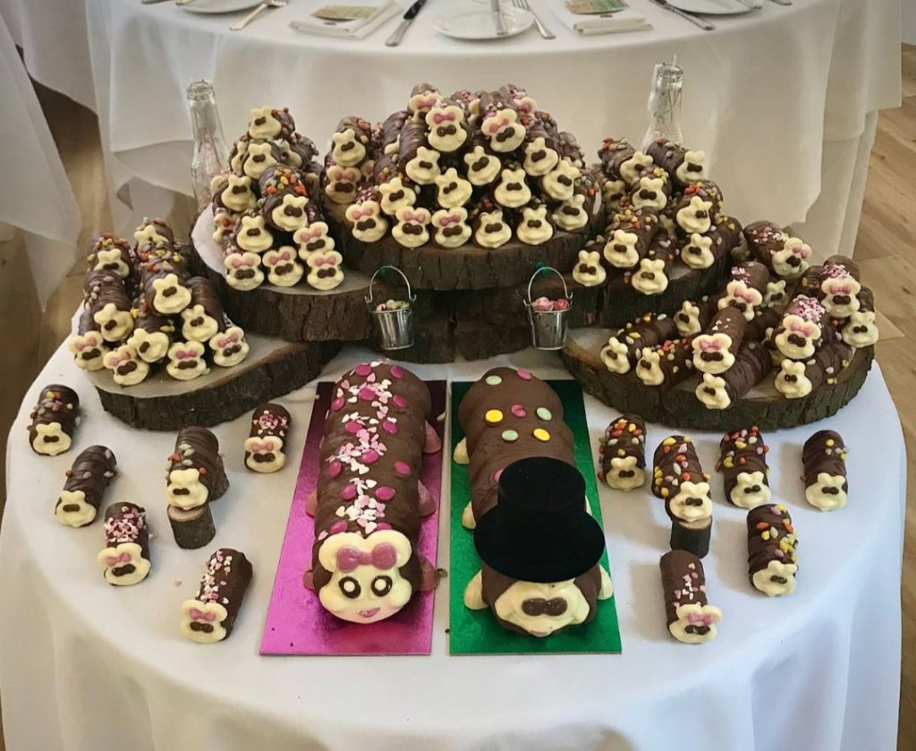 Image of a caterpillar cake marriage with a 'female' and 'male' cake surrounded by smaller caterpillar cakes.